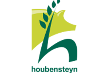 Houbensteyn